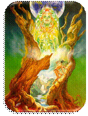 VIRGO (24 August – 22 September) CASINO